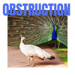obstruction