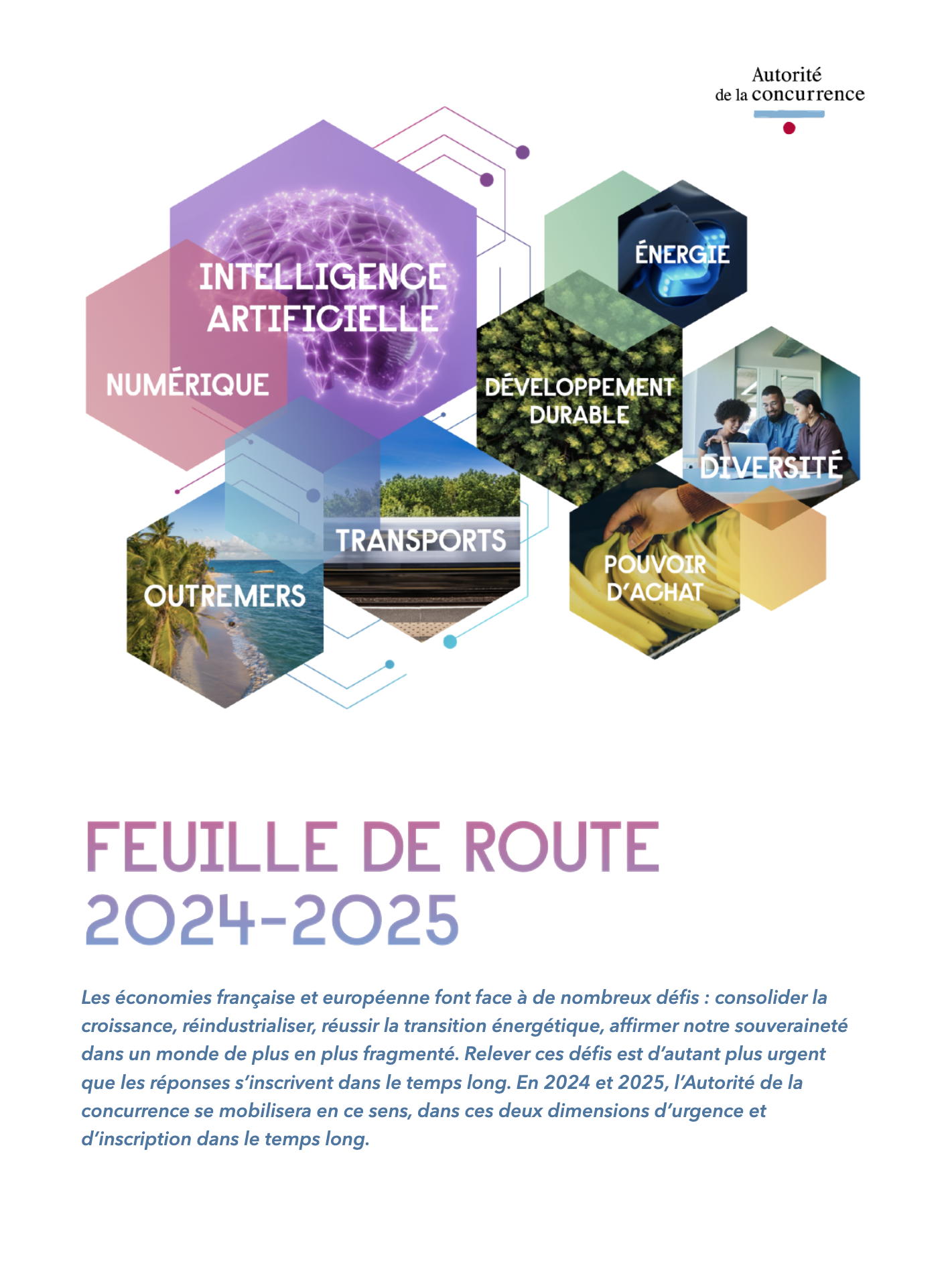 Roadmap 2024-2025