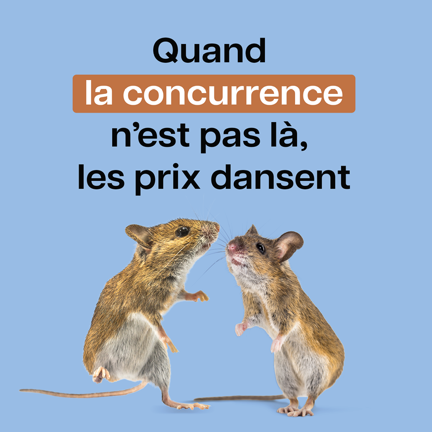 quand la concurrence n'est pas la, les prix dansent