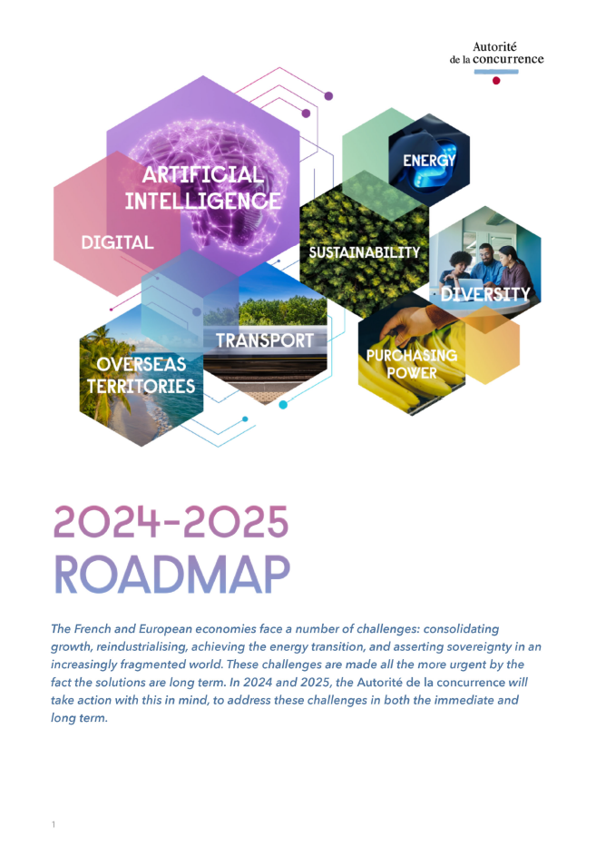 Roadmap 2024-2025
