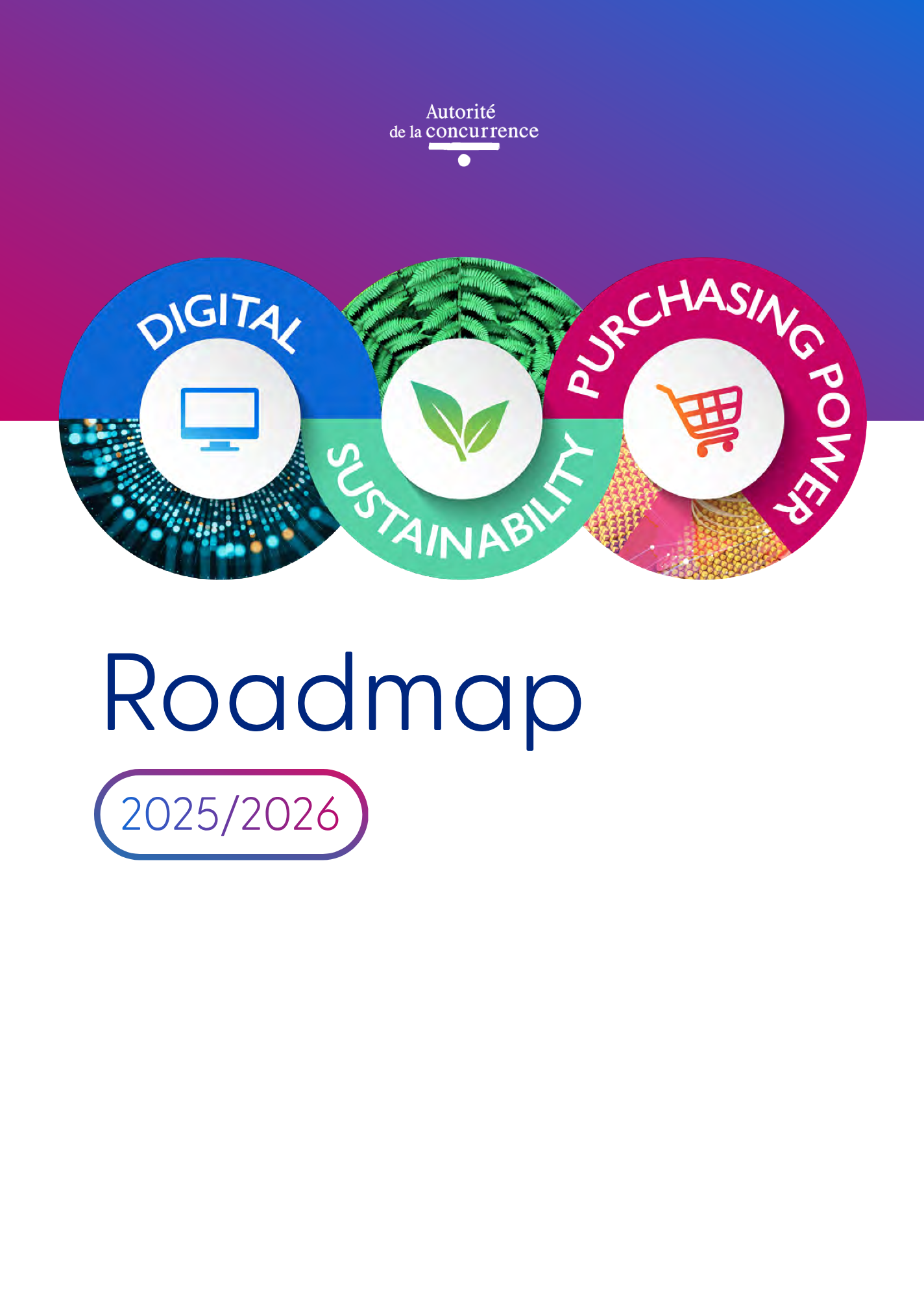 Roadmap for 2025-2026