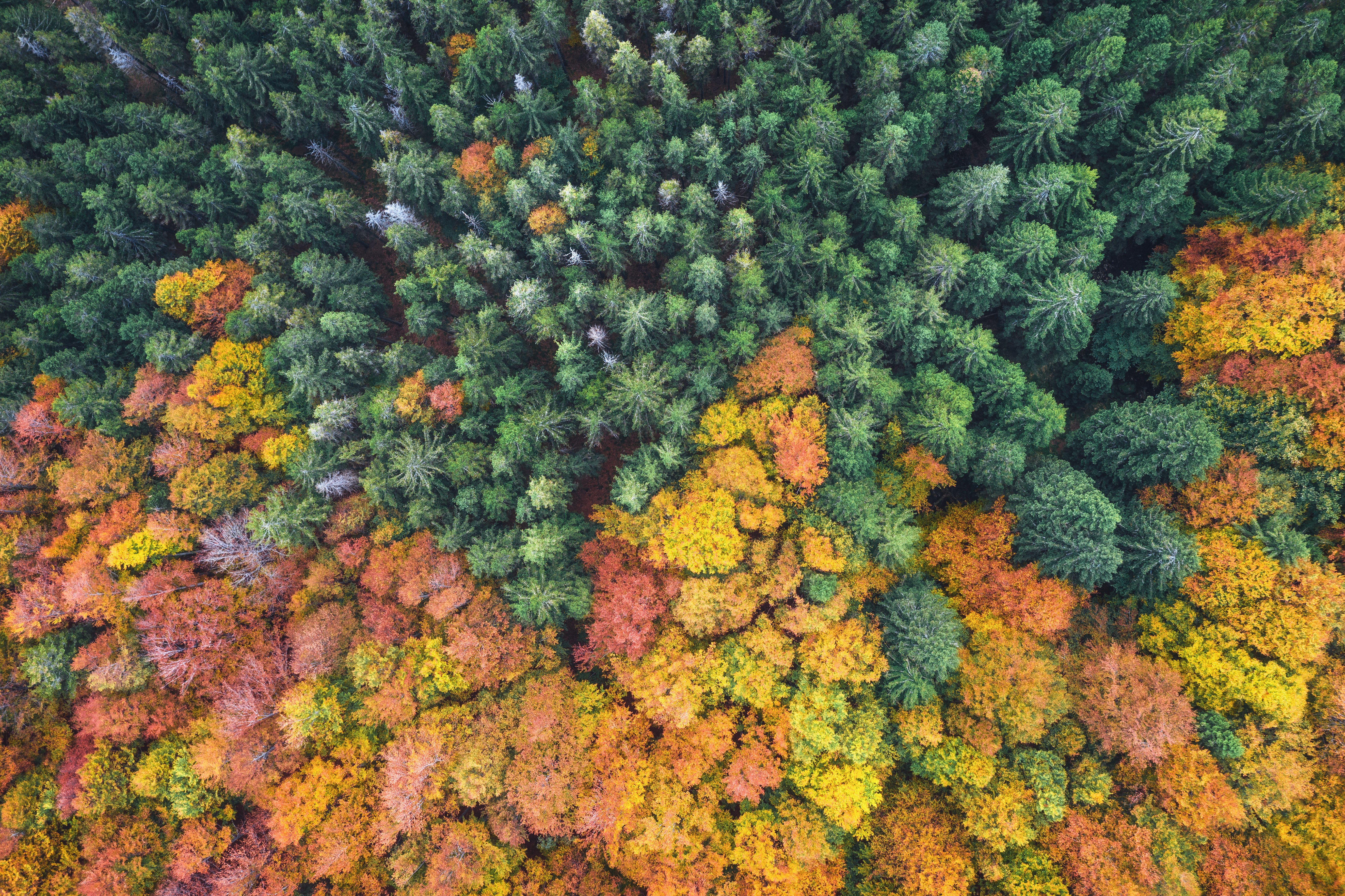 La transition écologique