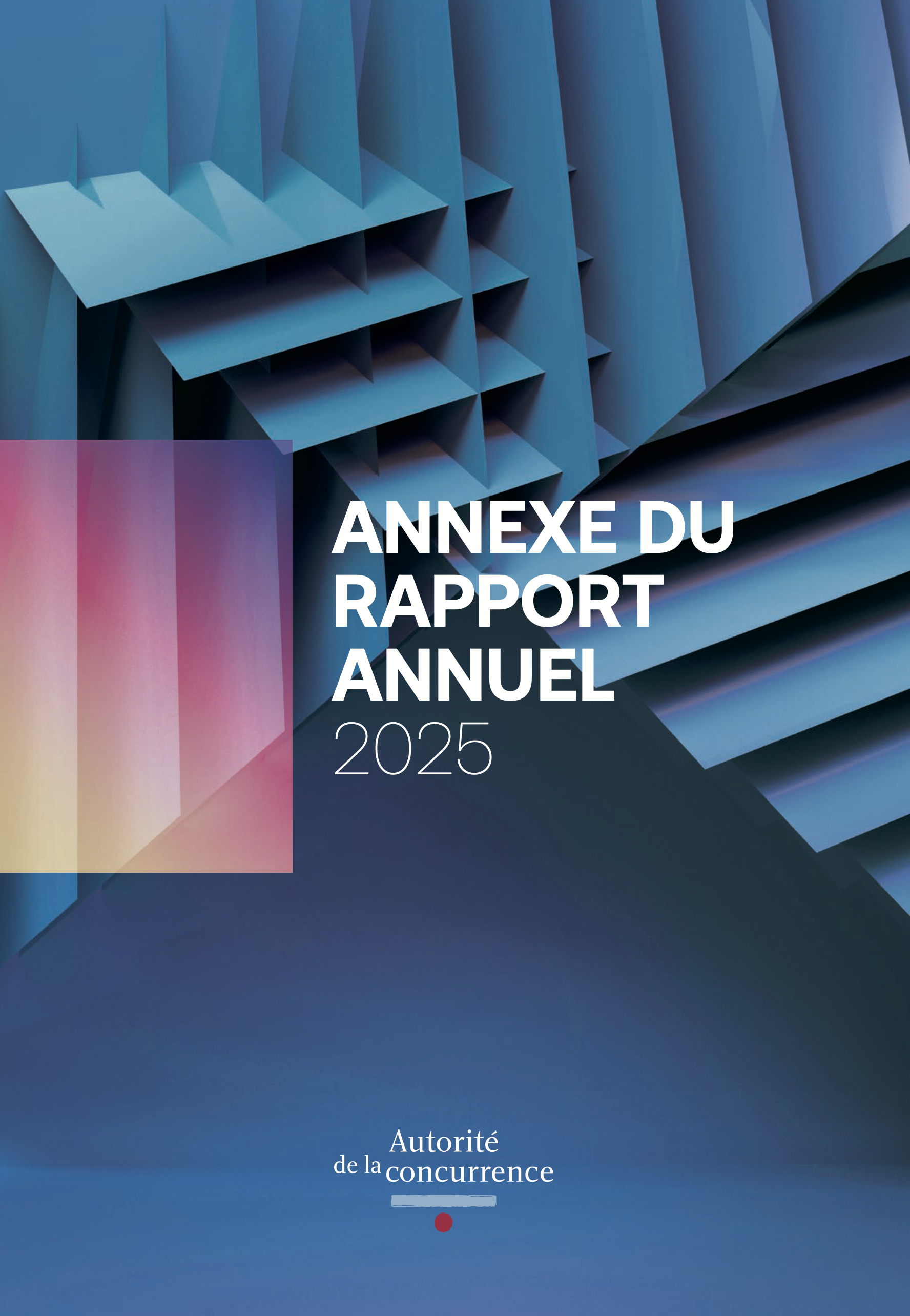 annexe du rapport annuel 2025