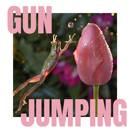 gun jumping