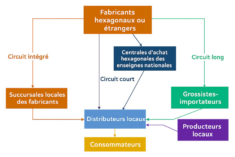 L’organisation du système de distribution en Martinique