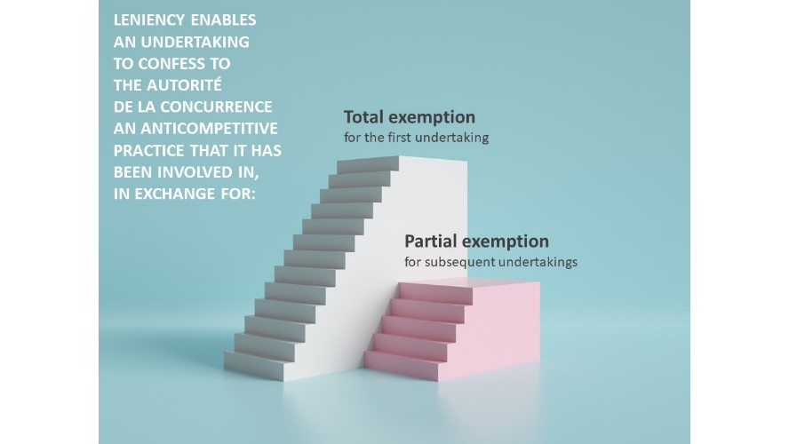 what is leniency programm ?
