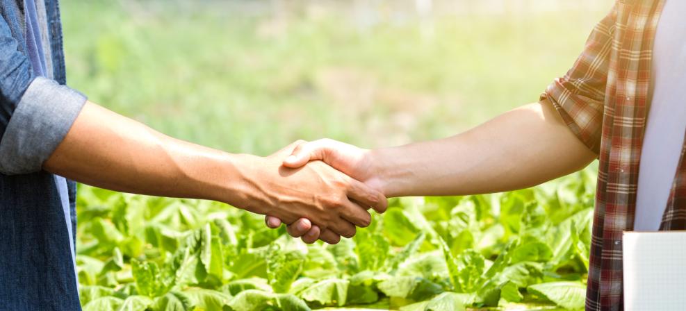 Poignée de main entre les agriculteurs et les clients pour les partenaires commerciaux