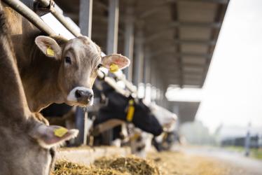 nutrition animale