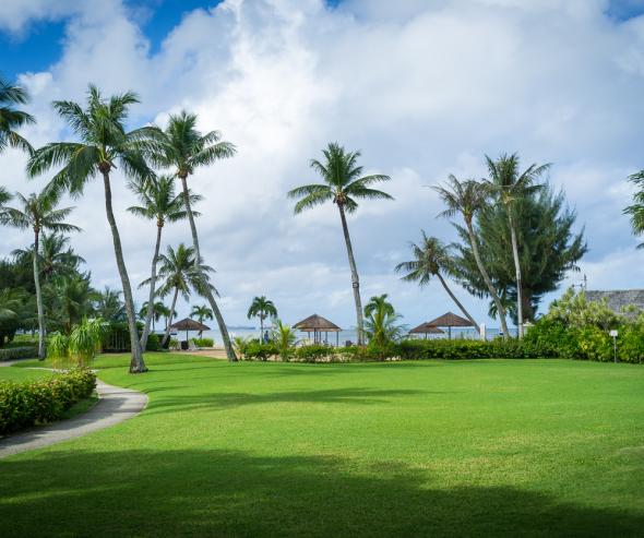 Martinique